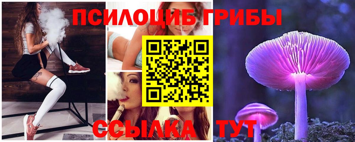 Псилоцибиновые грибы MAGIC MUSHROOMS  Псилоцибиновые грибы MAGIC MUSHROOMS  Вход с VPN  Назрань 
